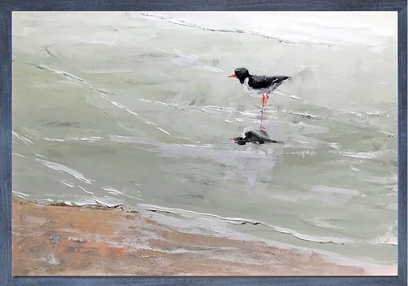 Reflected Oyster Catcher